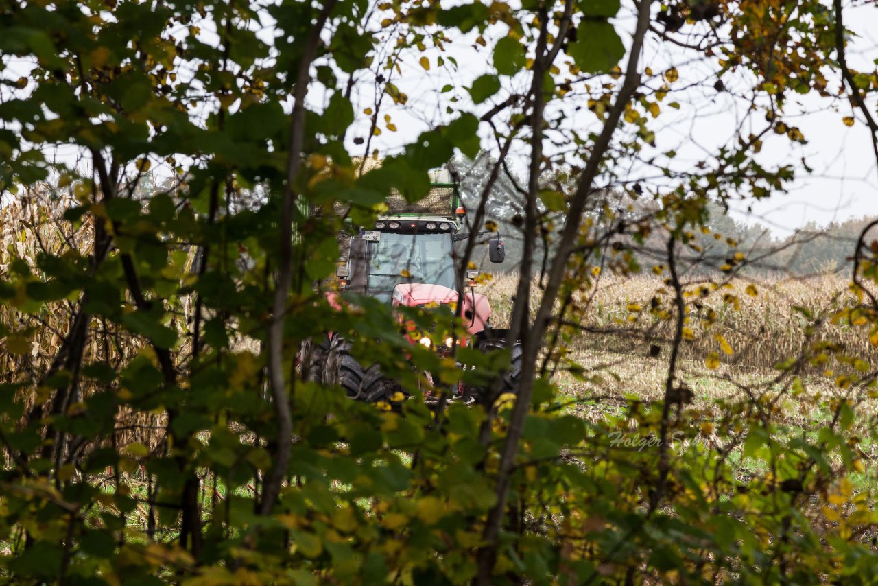 Bild 148 - Biogas am 21.10.12